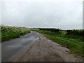 TM4594 : Burgh Road, Aldeby by Geographer