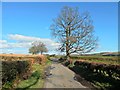 NS3983 : A country road in Balloch by Lairich Rig