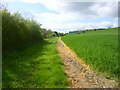 SU4655 : Burghclere, permissive bridleway by Mike Faherty