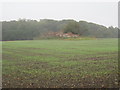 TA1735 : The  ruined  farm  at  Roe  Hill  with  Old  Wood  beyond by Martin Dawes