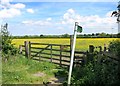 SP7603 : Footpath through Buttercups by Des Blenkinsopp