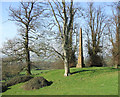 SP3747 : Obelisk memorial to Lieut. Col. F. S. Miller, former Radway Grange estate below Edgehill: 1 by Robin Stott