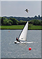 SE3217 : Breezy day on Pugney's Lake by Pauline E