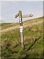 SD9515 : Whittaker Moor, Pennine Bridleway Signpost by David Dixon