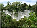 SU8948 : Seale Chalk Pit by Alan Hunt