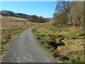 NS5280 : West Highland Way near Dumgoyach by Lairich Rig