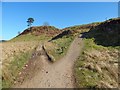 NS5380 : West Highland Way near Arlehaven by Lairich Rig