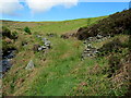 SE1081 : Abandoned Sheepfold beside Barnley Beck by Chris Heaton