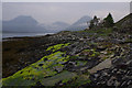 NG5720 : Foreshore, Loch Slapin by Ian Taylor