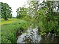 SU1256 : River Avon, downstream [east] of Rushall Bridge by Christine Johnstone