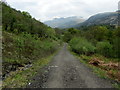 NN3219 : West Highland Way in Glen Falloch (2) by Chris Heaton