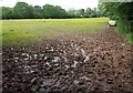 ST2891 : Muddy access to a field from Leach Road, Bettws, Newport by Jaggery