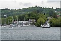 SD3995 : Windermere, near Ferry Nab by David Dixon