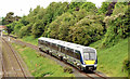 J2564 : Diverted train, Knockmore, Lisburn - June 2014(1) by Albert Bridge