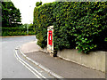 TL8642 : Priory Road George VI Postbox by Geographer