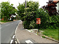 TL8247 : B1065 Hunts Hill & Hunts Hill Postbox by Geographer