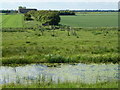 TL4583 : Corral on The Counter Wash - The Ouse Washes by Richard Humphrey