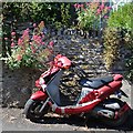 SX8255 : Motor scooter, red and dead, Abbey Road, Cornworthy by Robin Stott