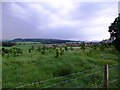 NS7990 : Bannockburn battlefield by Stanley Howe