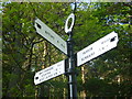 NT6172 : East Lothian County Council Fingerposts : Oak Corner, Yarrow (detail) by Richard West