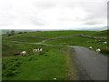 NY7806 : Farmland east of Nateby by David Purchase