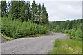 NM9617 : West Loch Awe Timber Haul Route in Inverinan Forest by Patrick Mackie