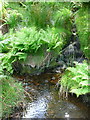 SE0908 : Confluence of Rams Clough  and Middle Clough by Humphrey Bolton