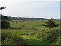 TM4770 : Grazing on Dingle Marshes Nature Reserve, Dunwich by Roger Jones