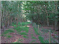 TM4670 : Path in Dunwich Forest by Roger Jones