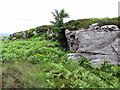 NY7882 : Crags north of Watch Crags trig point by Andrew Curtis