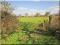 ST4604 : Wet gateway on bridleway W21/82 by Derek Harper