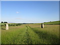 SU1069 : Stone  Avenue  Avebury by Martin Dawes