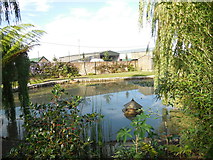 TQ4312 : Pond and Duck House, Ringmer Park by Paul Gillett