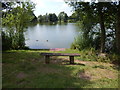 TM0954 : Bench at Needham Lake by Hamish Griffin