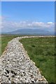 NX4454 : Breakwater at Crook of Baldoon Nature Reserve by Leslie Barrie