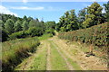 SJ5877 : Bridleway at Dutton Park by Jeff Buck