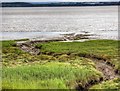 SJ4082 : River Mersey, Speke and Garston Coastal Reserve by David Dixon