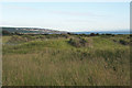 SS8477 : Firing point on disused rifle range below Wig Fach by eswales