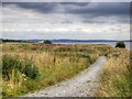 SJ4083 : Shoreline Path at Speke and Garston Coastal Reserve by David Dixon