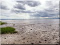 SJ4182 : Mersey Mudbanks by David Dixon