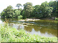 NT7133 : Rapids on the River Teviot by Oliver Dixon