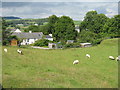 NX6053 : Houses at Girthon by M J Richardson