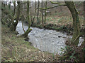 SS9188 : A glimpse of the Afon Garw/River Garw near Tylagwyn by eswales