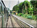 SU5832 : Watercress Line, Alresford Station by David Dixon