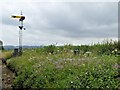 SU6132 : Signal on the Watercress Line by David Dixon