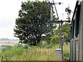 SU6232 : Watercress Line, Signals near Ropley by David Dixon