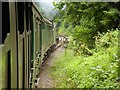 SU7138 : The Watercress Line South of Alton by David Dixon