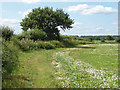 SU9346 : Field boundary near Shackleford by Alan Hunt