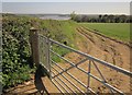 SX4265 : Tamar Valley Discovery Trail near Hewton Farm by Derek Harper