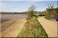 SX4364 : Tamar Valley Discovery Trail near Weir Quay by Derek Harper